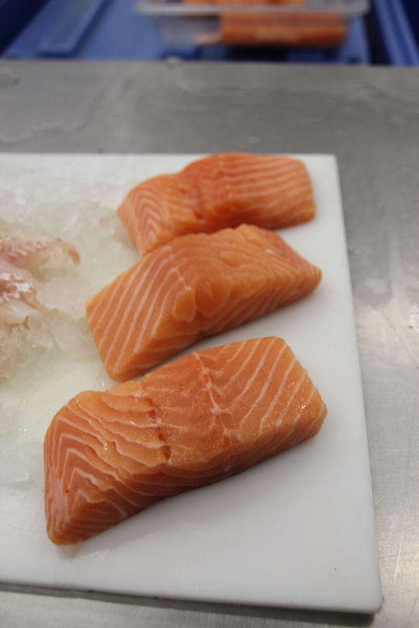 Atlantic Salmon Portions