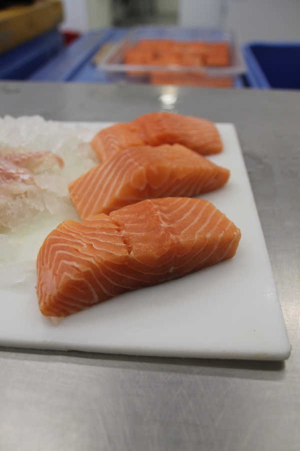 Local Fresh Salmon