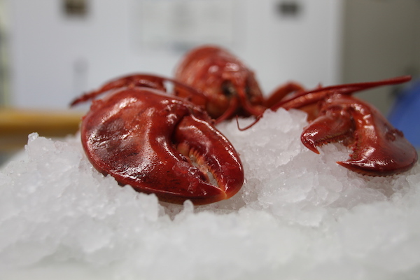 Best Lobster on Prince Edward Island