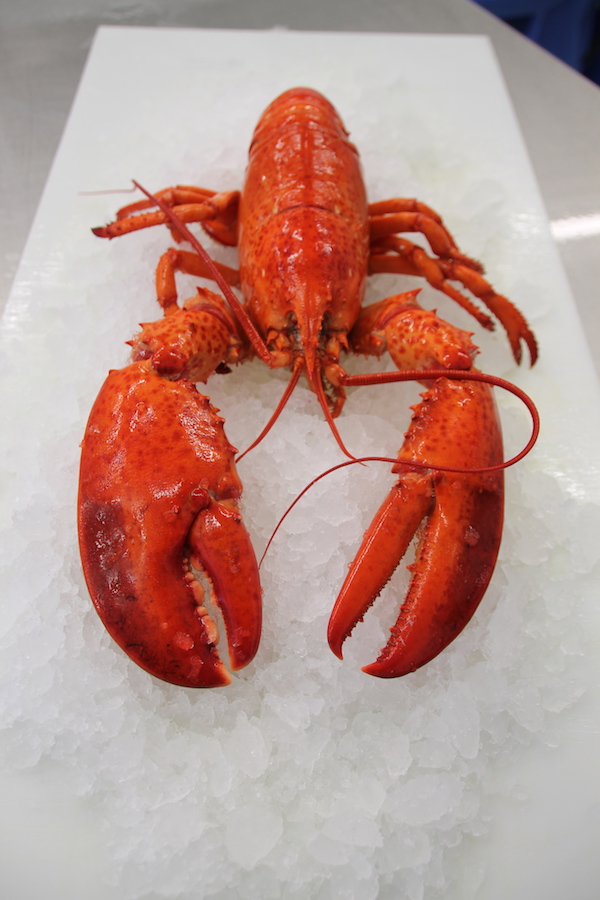 Best cooked lobster in Charlottetown