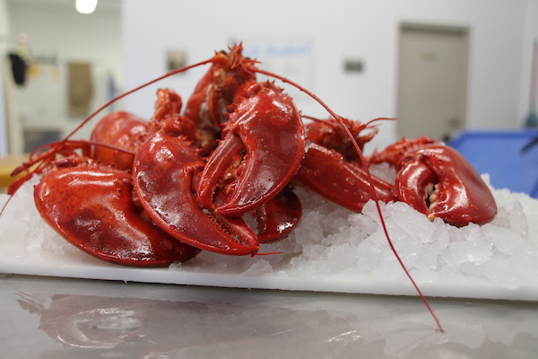 Fresh PEI Cooked Lobster