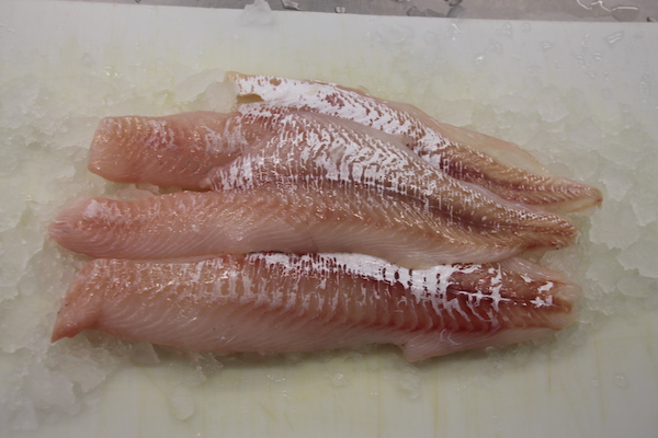 Fresh Local Haddock