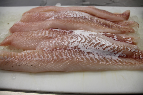 Fresh Haddock and Seafood on Prince Edward Island