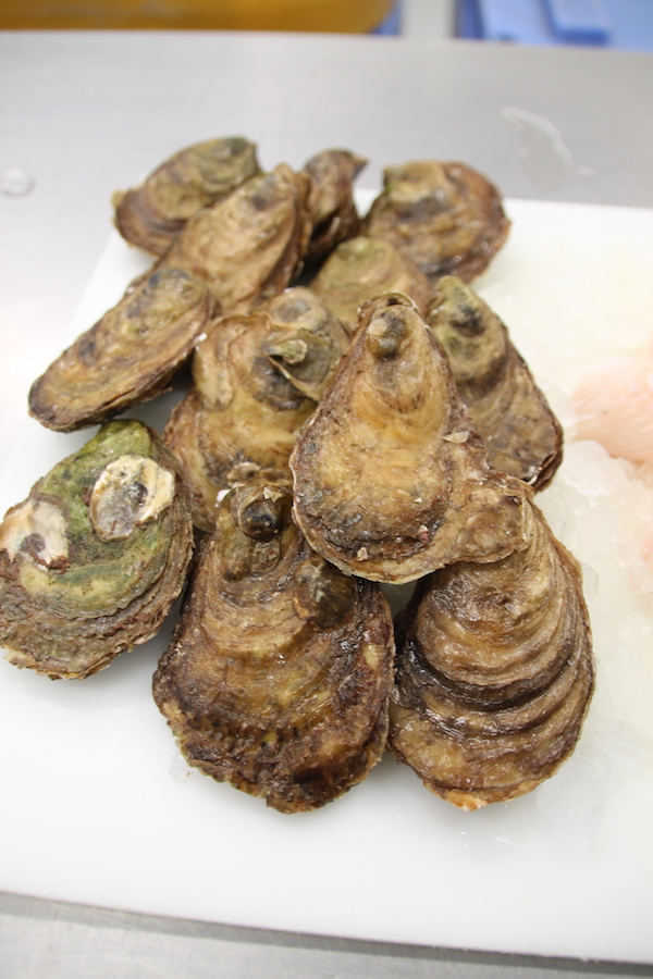 Best Oysters on Prince Edward Island