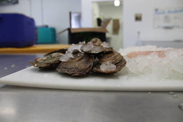 Oysters ready to be shucked