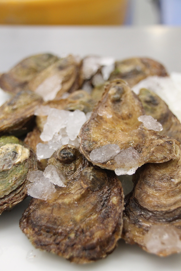 Beautiful Fresh PEI Oysters