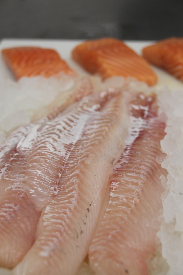Fresh Atlantic Haddock and Salmon