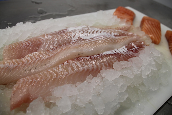 Haddock and Salmon Fresh Daily