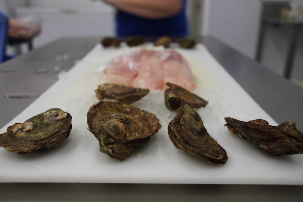 PEI Oysters, we have a wide oyster variety