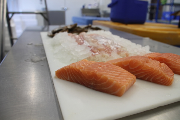 Fresh Seafood. Haddock, Salmon and Oysters fresh daily.