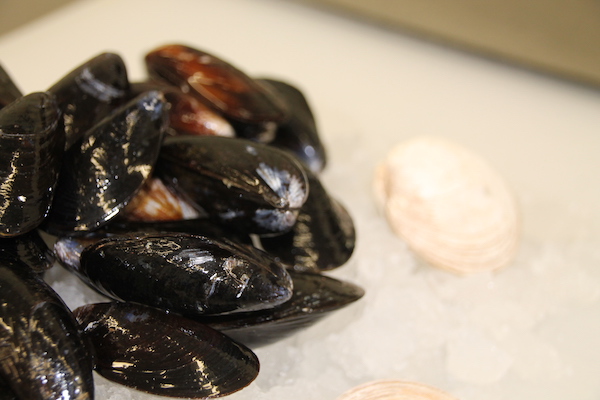 Best Mussels on Prince Edward Island