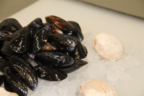 Best Shellfish on PEI