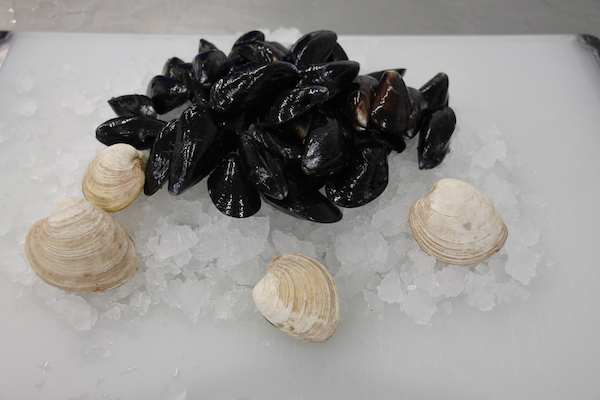 Prince Edward Island Mussels