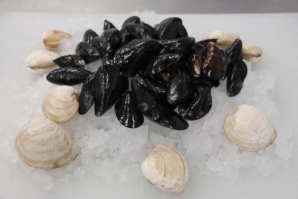 Highest Quality Shellfish and Seafood