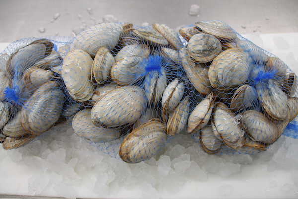 Two Pound Bags of Soft Shell Clams