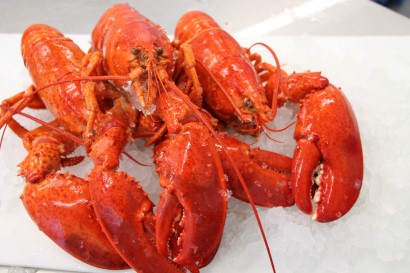 Fresh Prince Edward Island Cooked Lobster